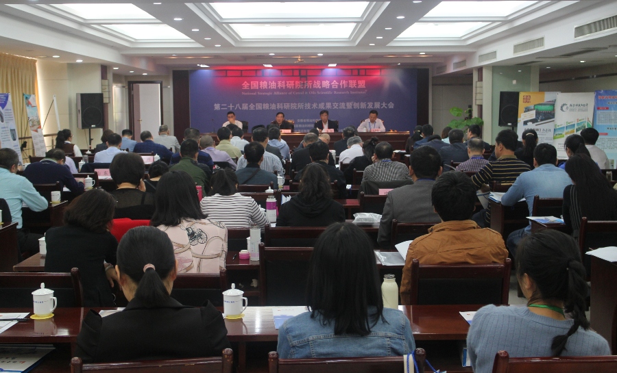 大会现场.JPG
