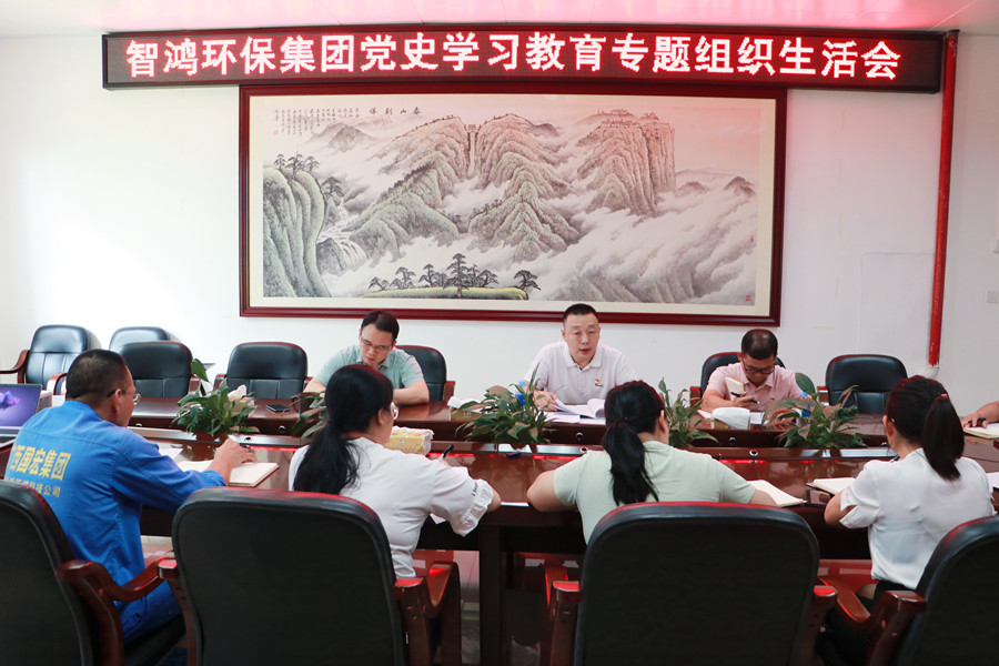 广西国宏智鸿环保集团有限公司党支部党史学习教育专题组织生活会_副本.jpg