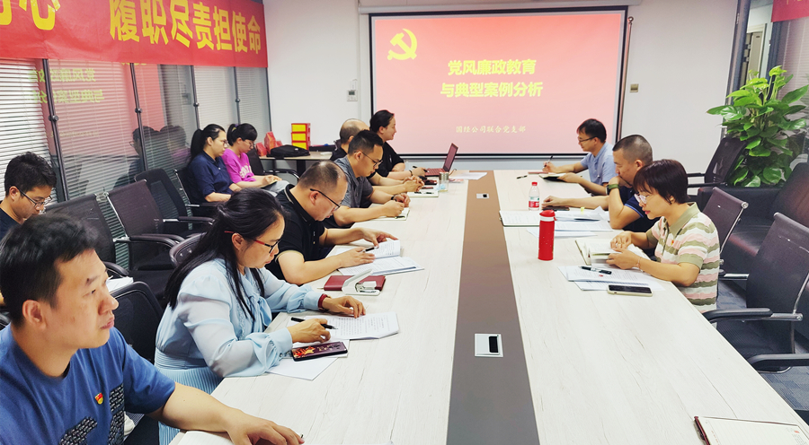 国经公司联合党支部组织统战人士开展党风廉政教育与典型案例分析_900.jpg
